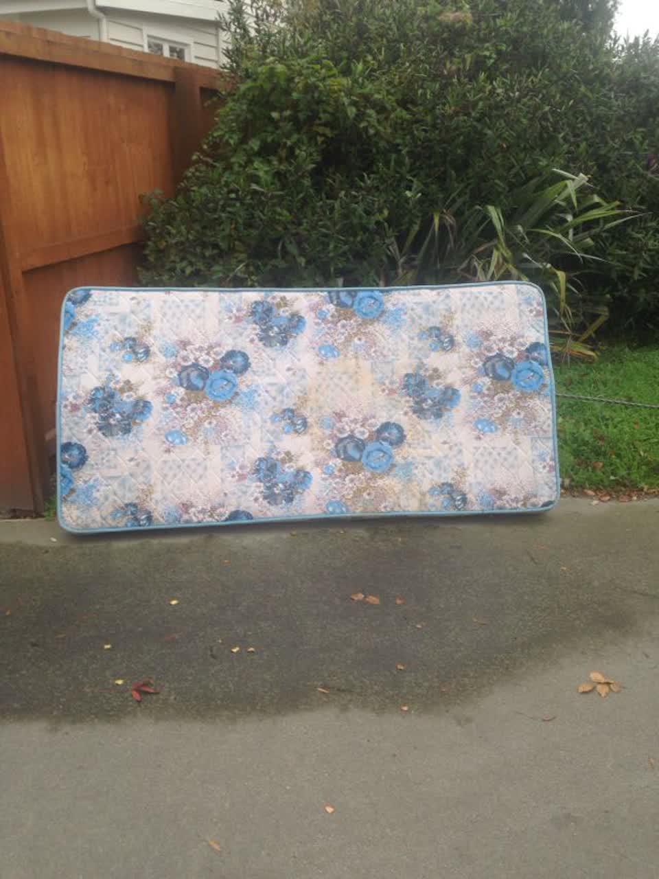 The photograph attached to this parks report