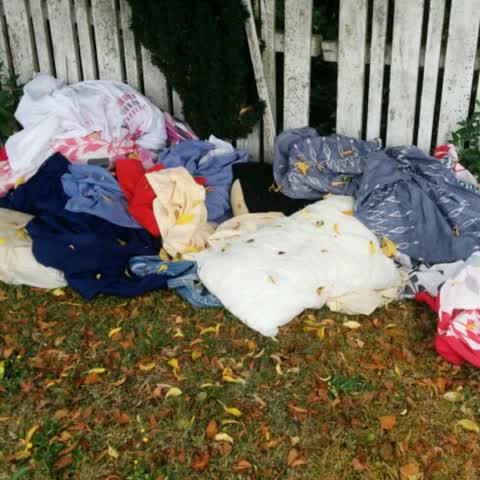 Rubbish/Recycling, a report photo