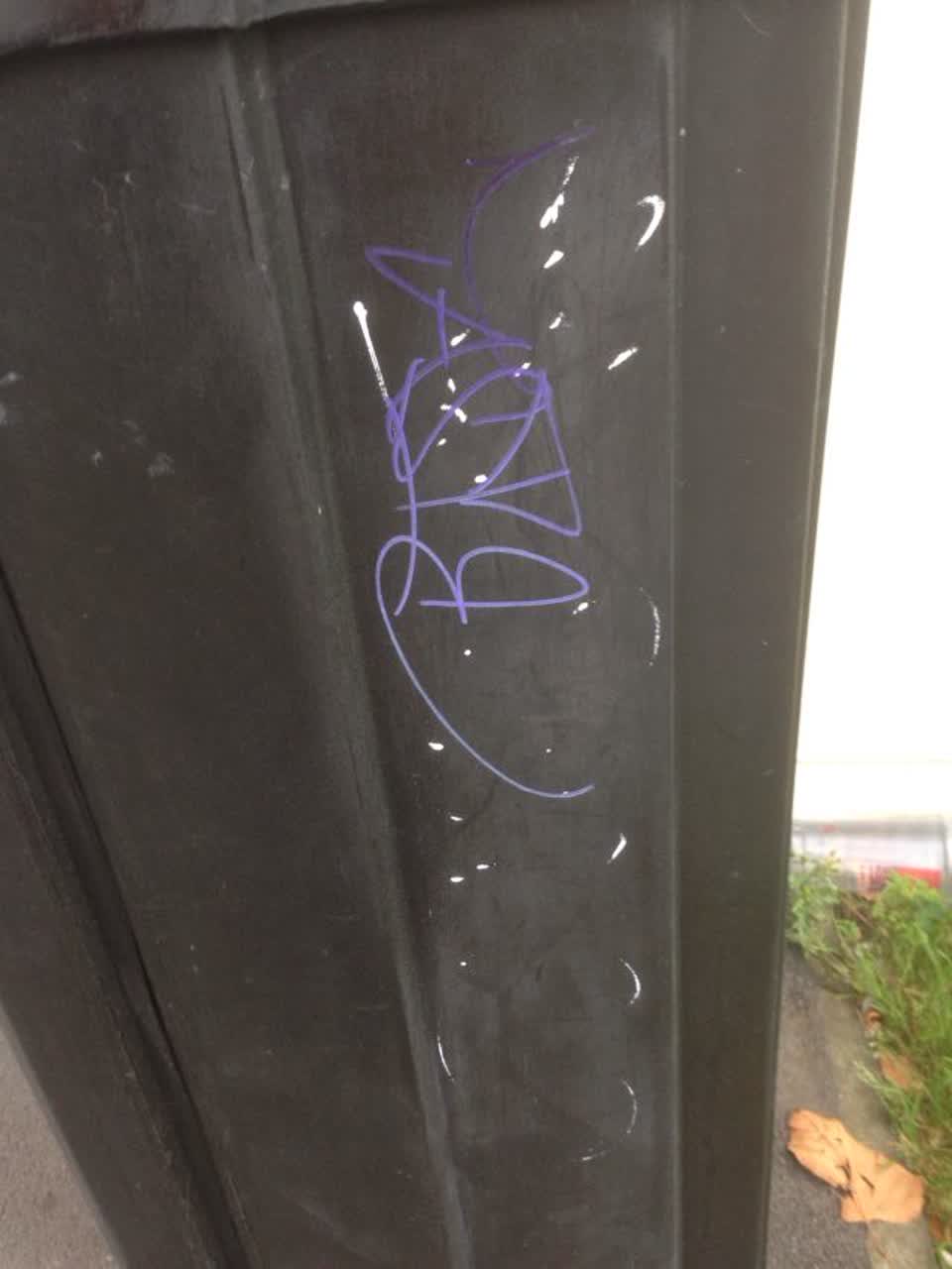 The photograph attached to this graffiti report