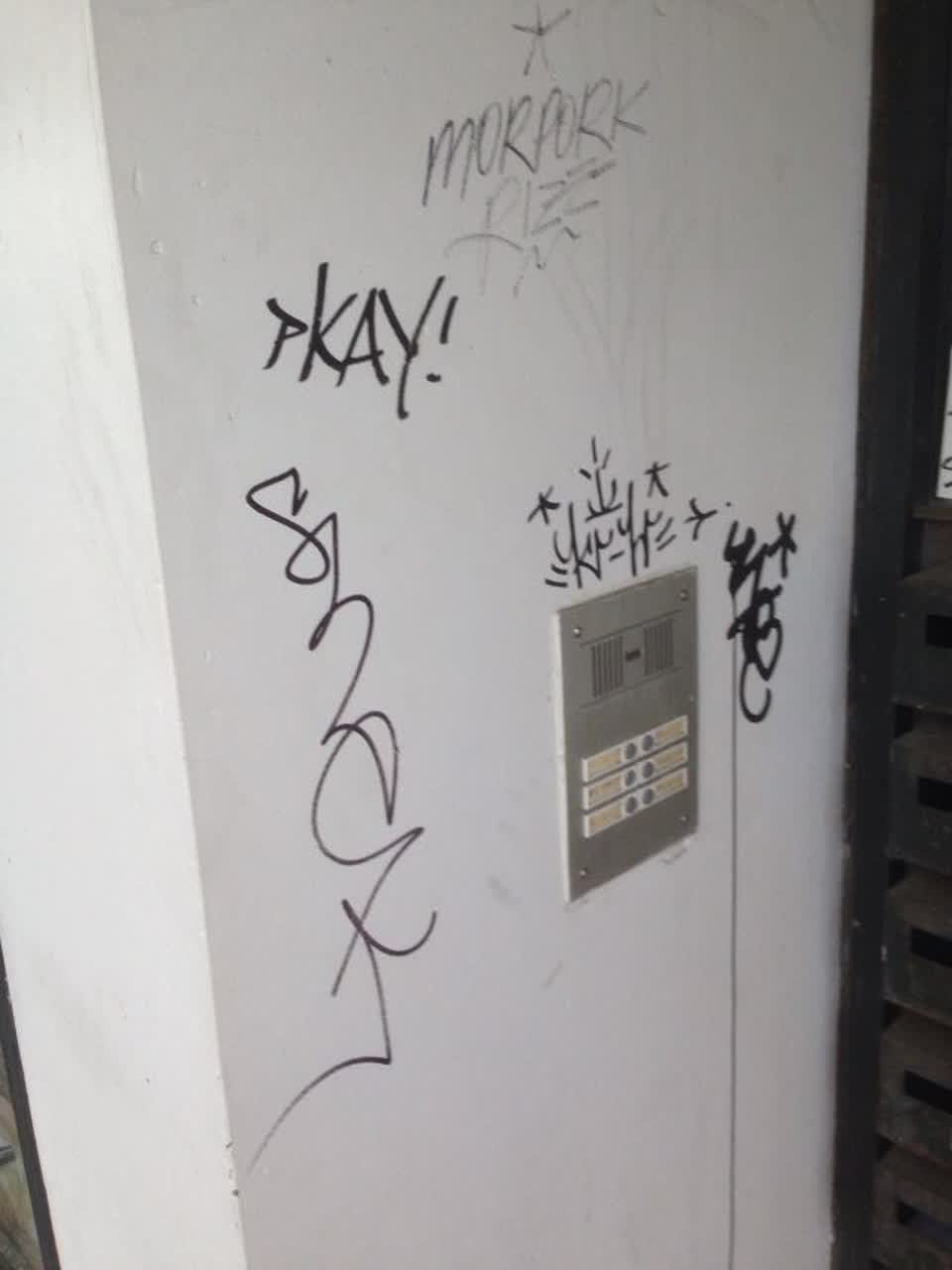 The photograph attached to this graffiti report