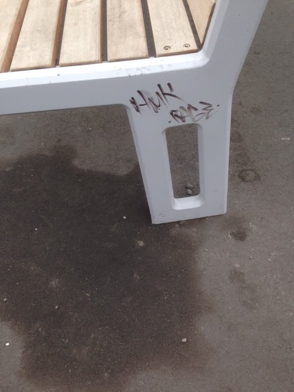 The photograph attached to this graffiti report