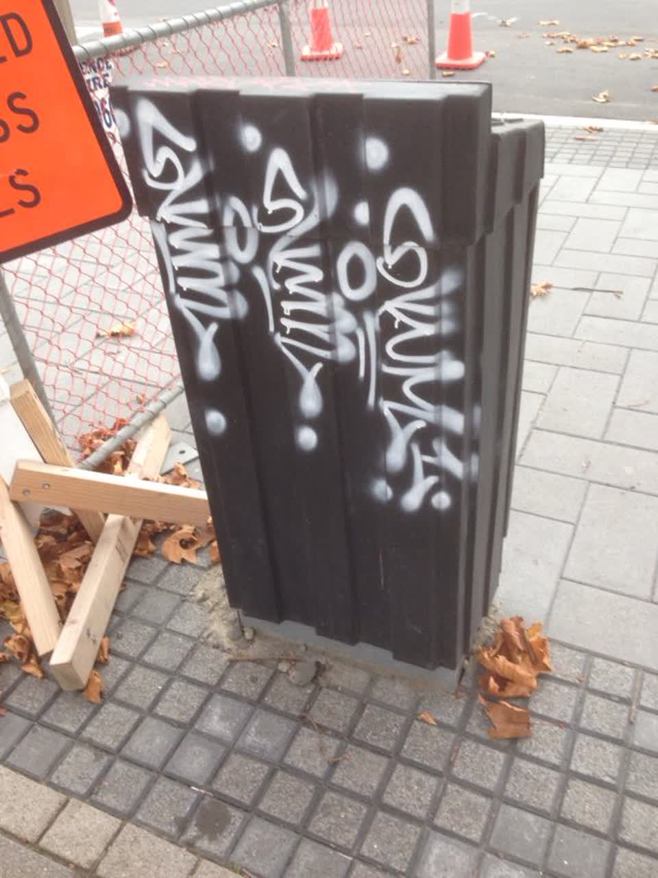 The photograph attached to this graffiti report