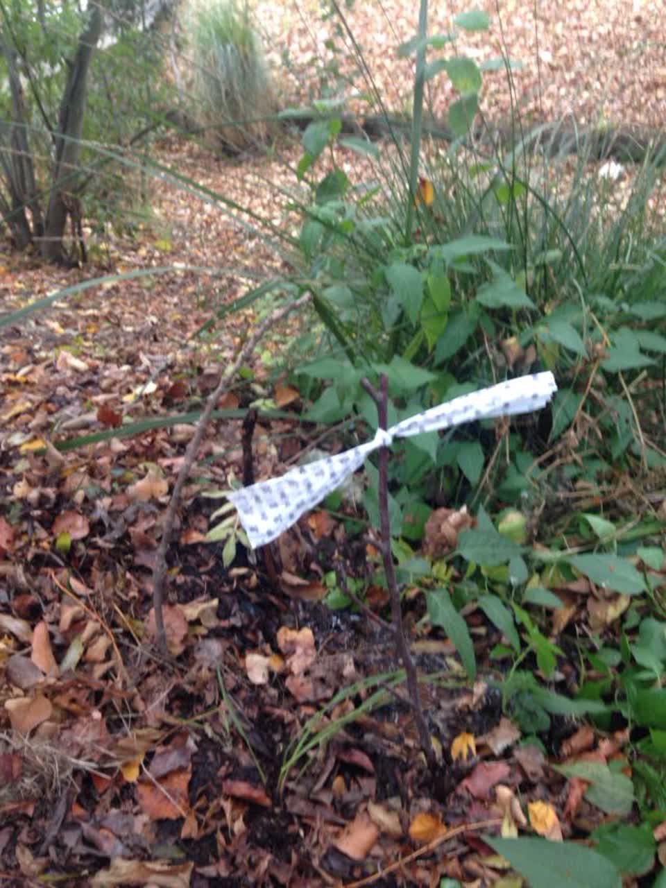 The photograph attached to this wastewater/stormwater report