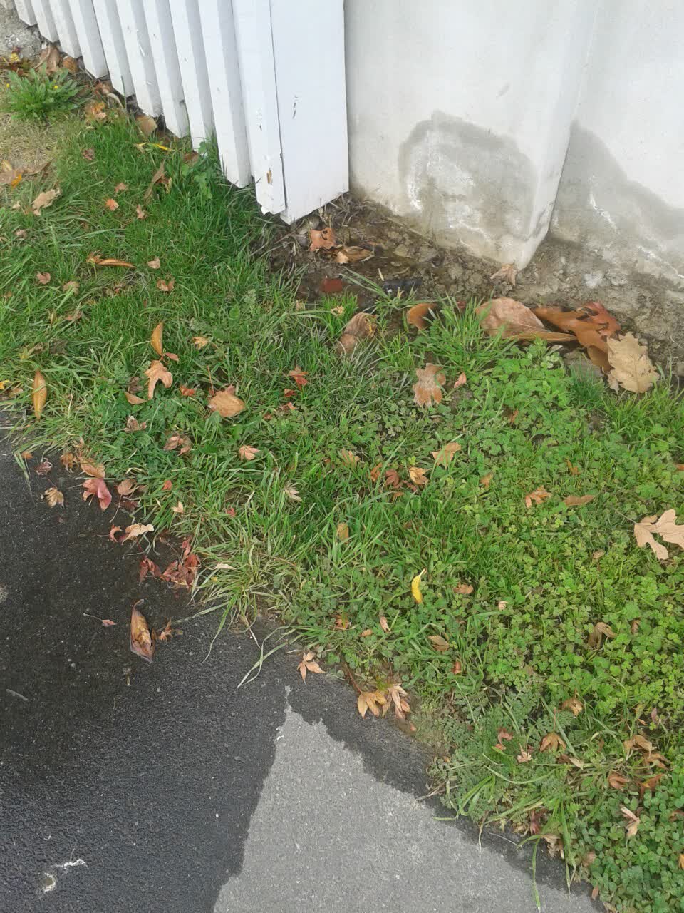 The photograph attached to this wastewater/stormwater report