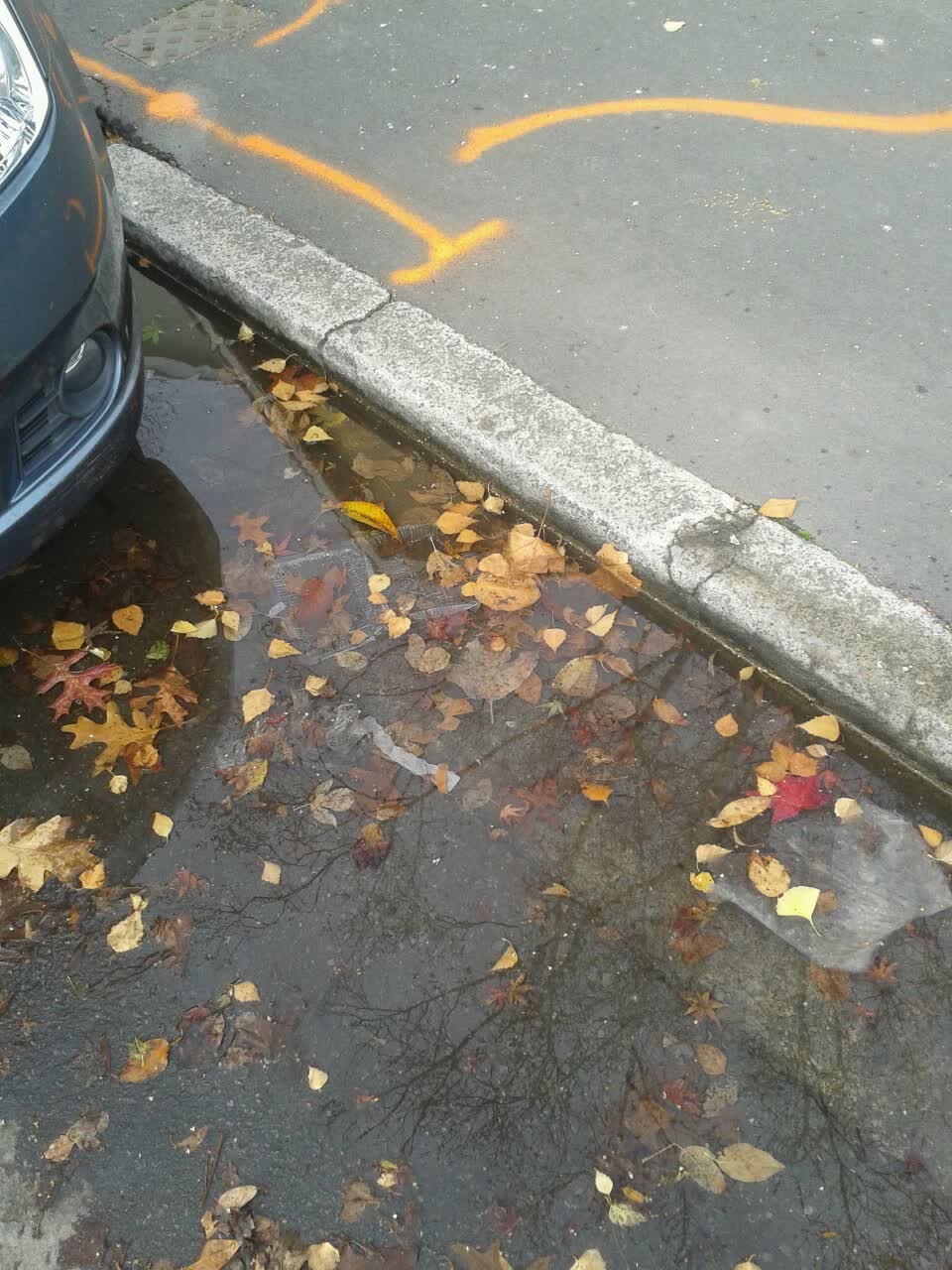The photograph attached to this wastewater/stormwater report