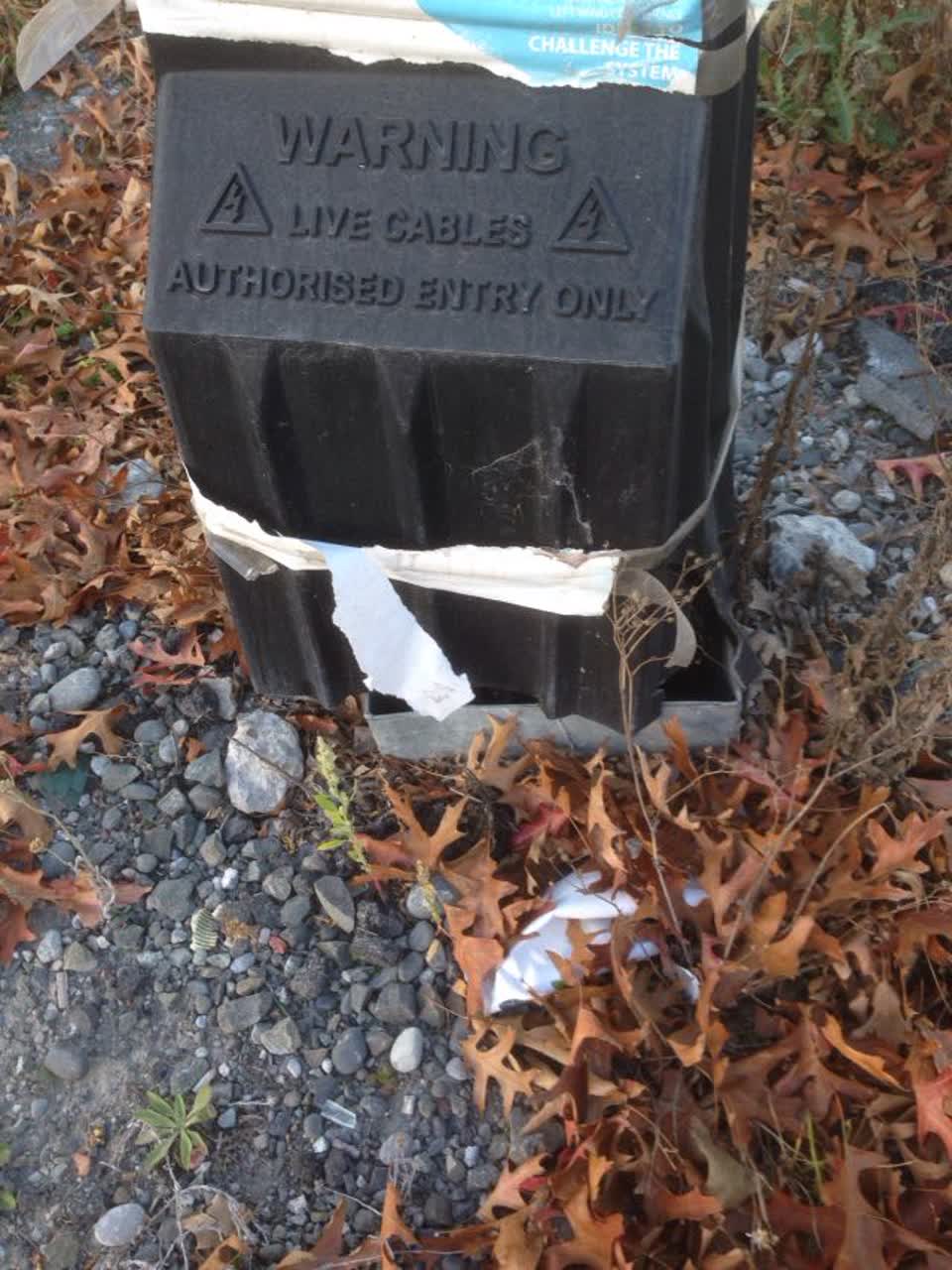 The photograph attached to this roading/streets report