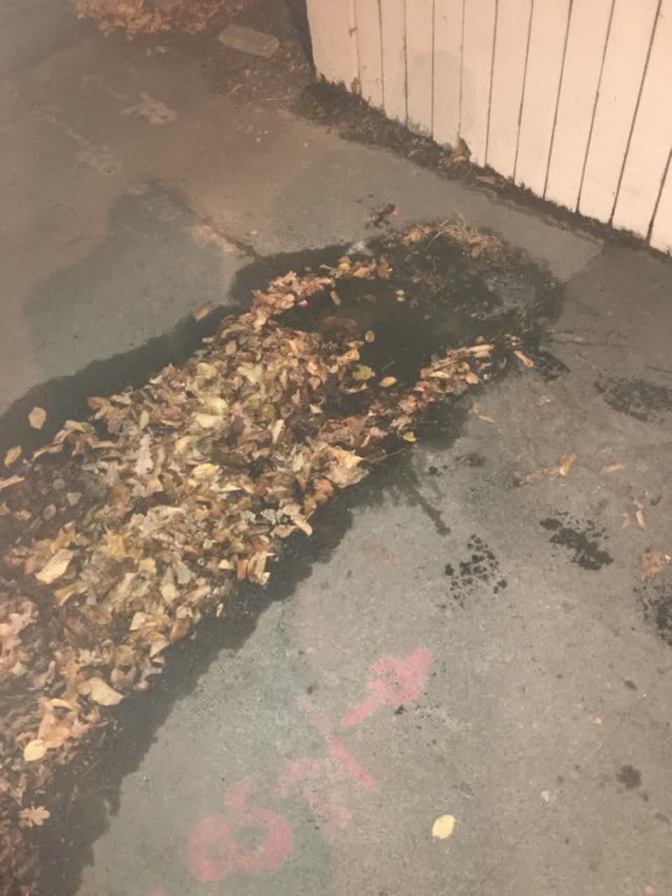The photograph attached to this water supply report