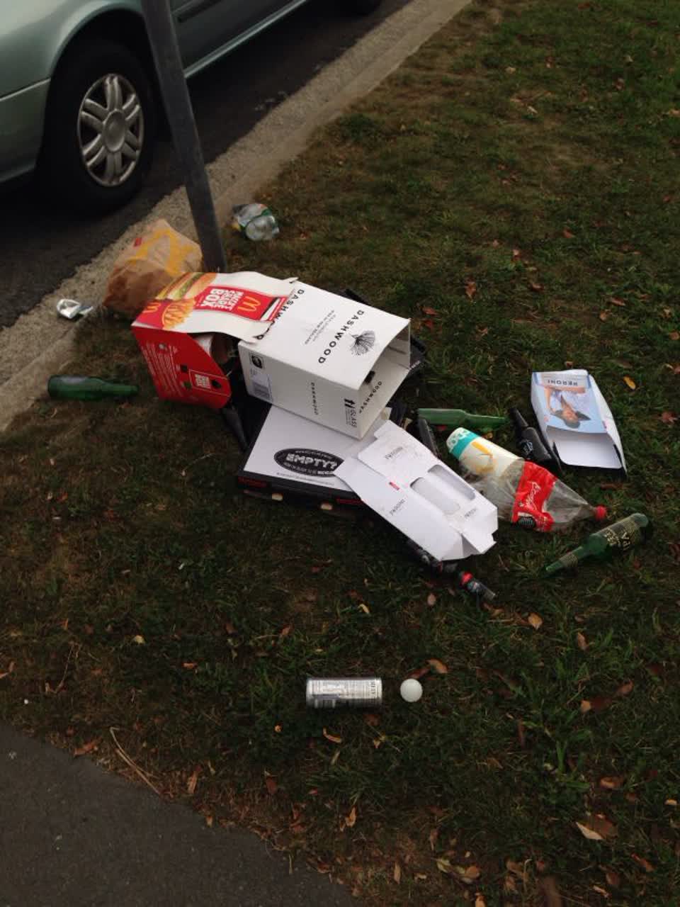 The photograph attached to this rubbish/recycling report