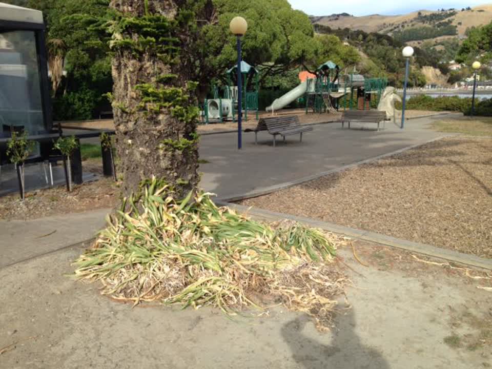The photograph attached to this parks report