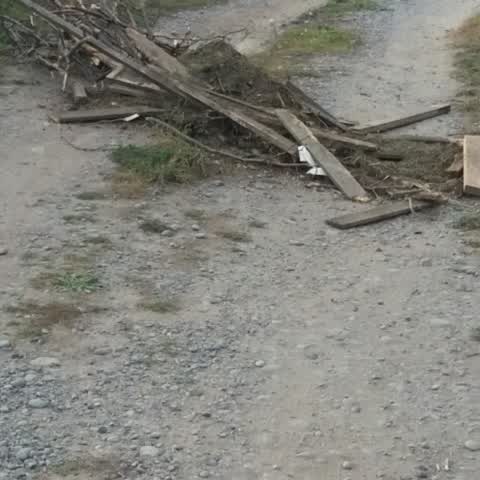 Rubbish/Recycling, a report photo