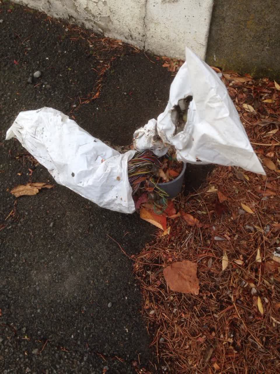 The photograph attached to this roading/streets report