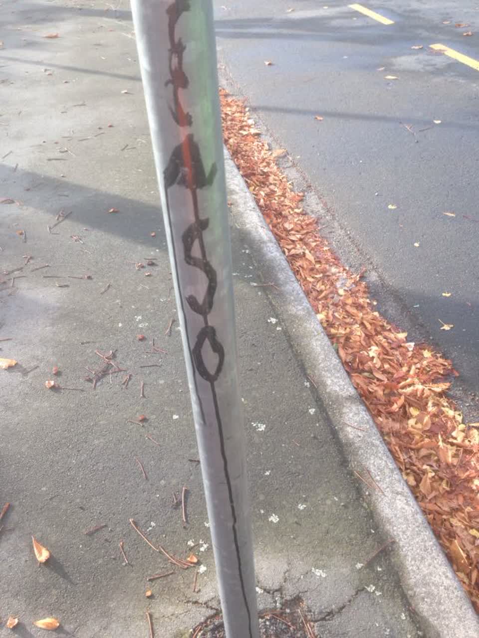 The photograph attached to this graffiti report