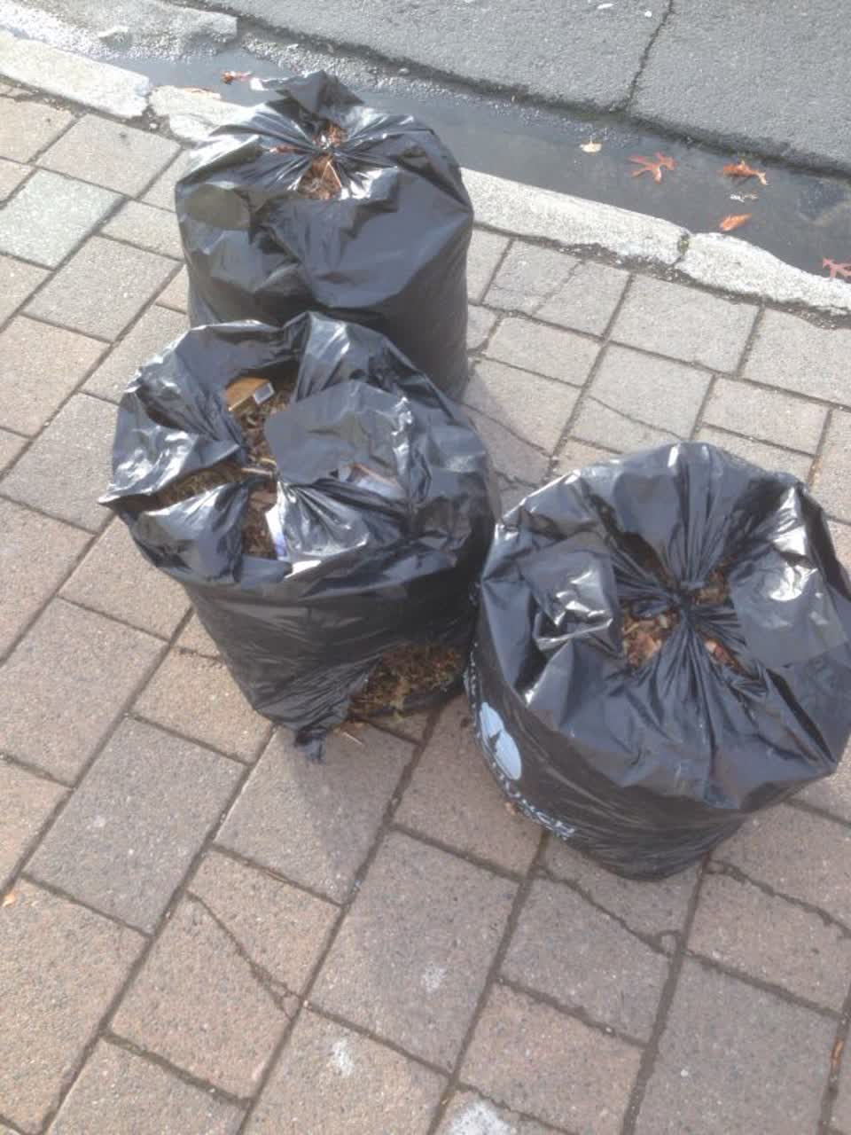 The photograph attached to this rubbish/recycling report