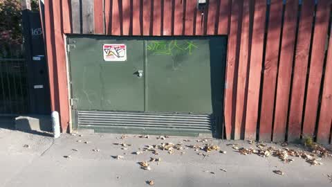 Graffiti, a report photo