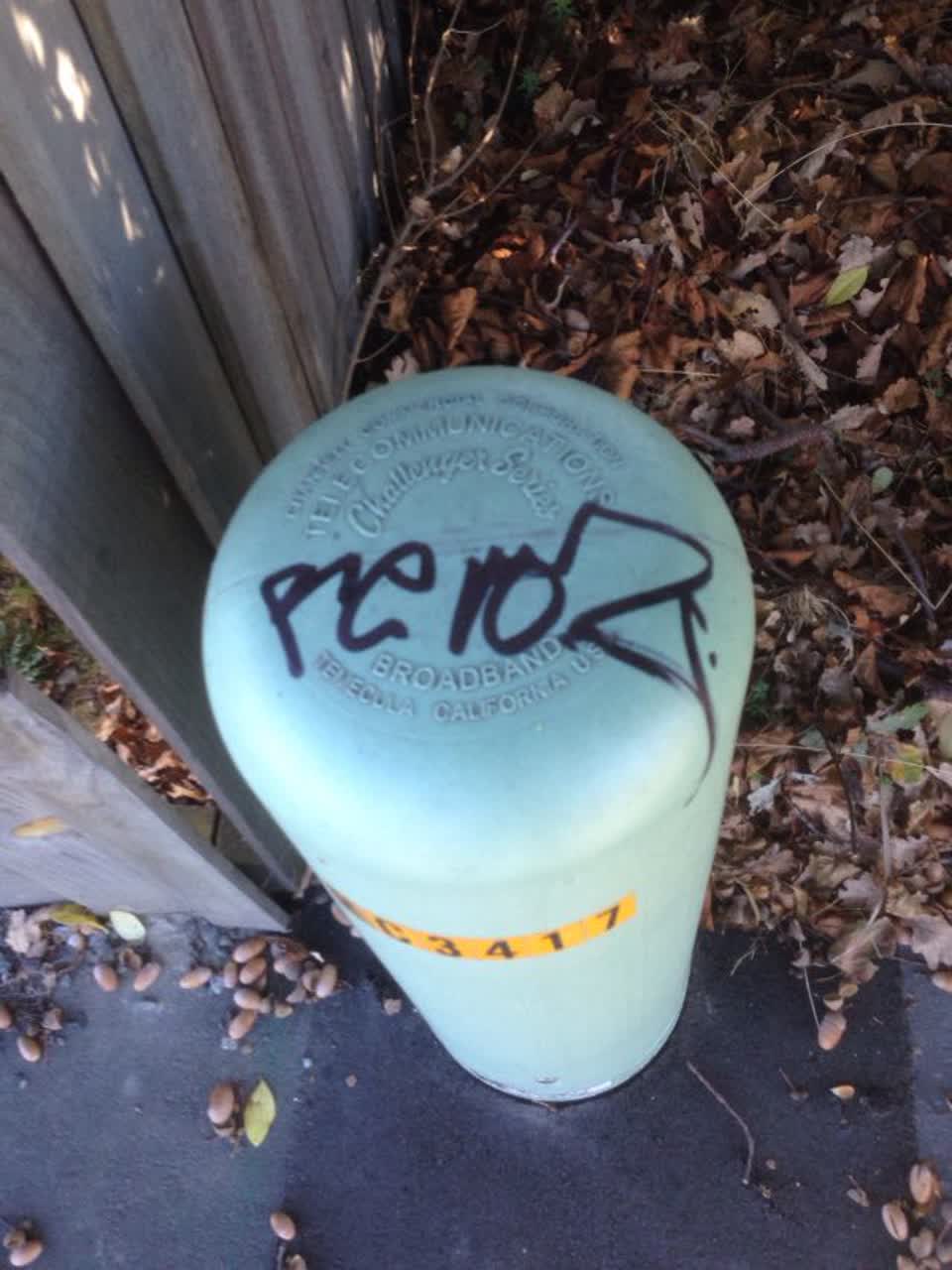 The photograph attached to this graffiti report