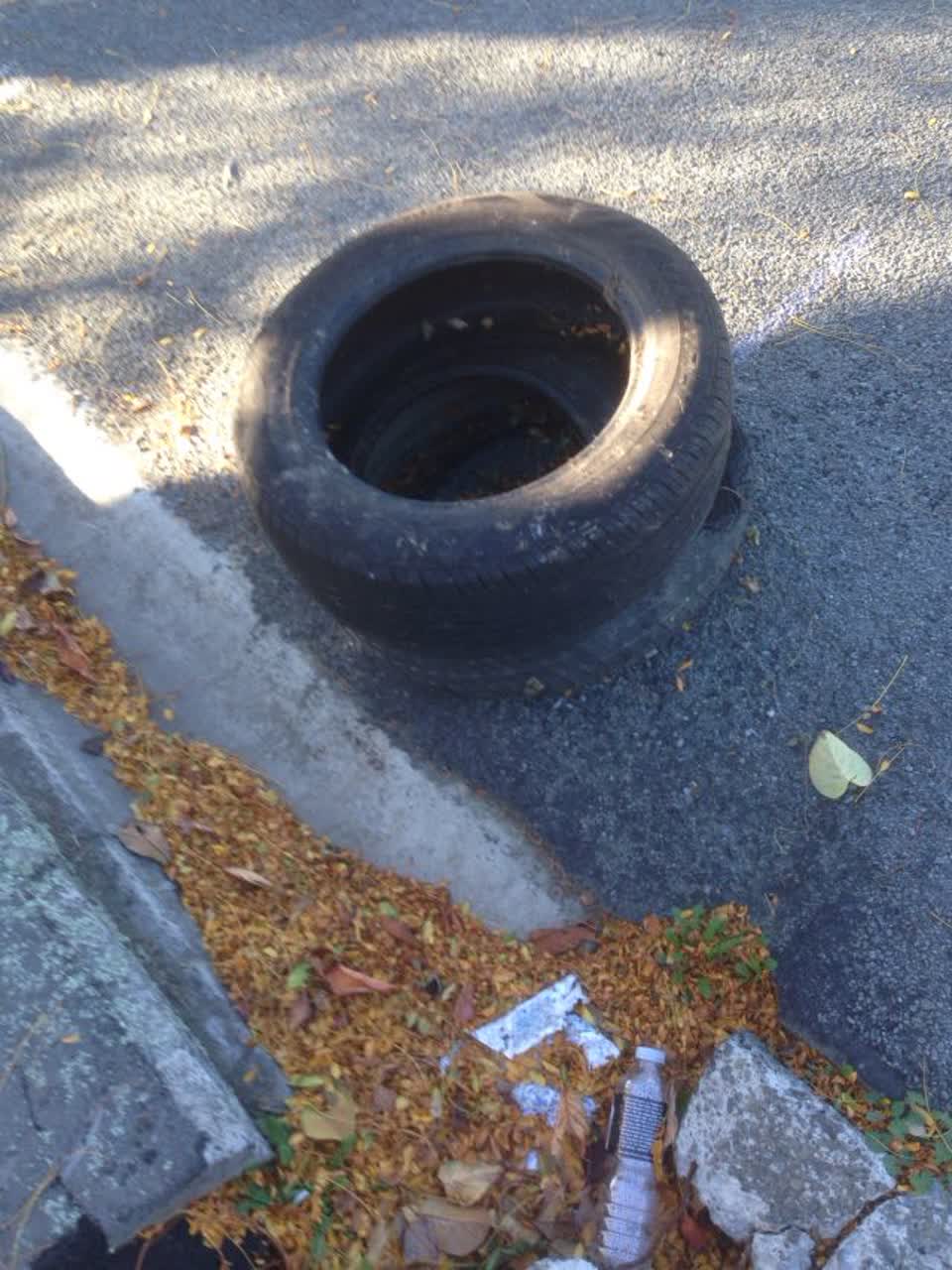 The photograph attached to this rubbish/recycling report