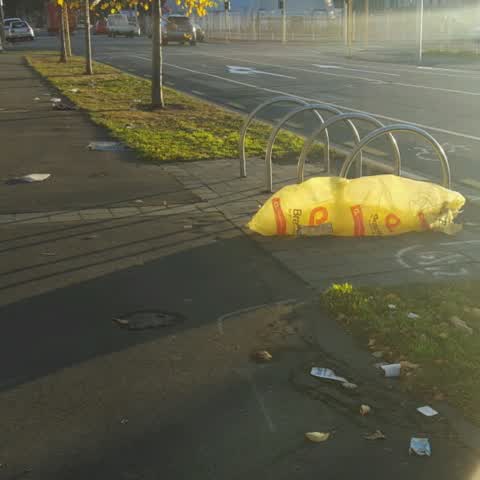 Rubbish/Recycling, a report photo