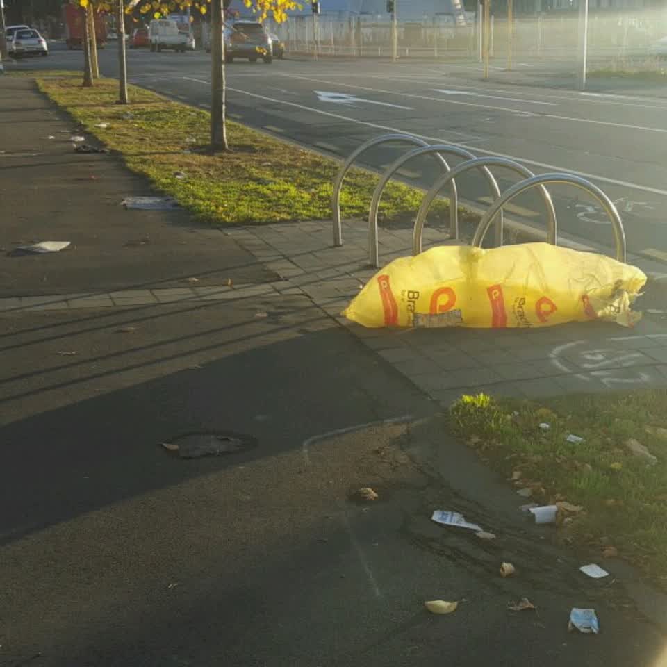 The photograph attached to this rubbish/recycling report