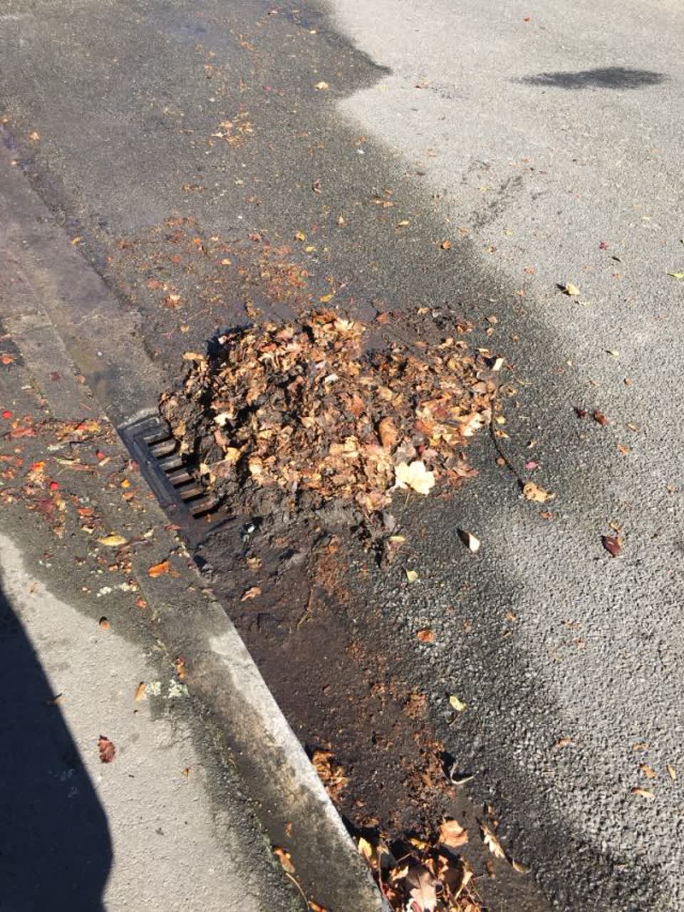 The photograph attached to this wastewater/stormwater report