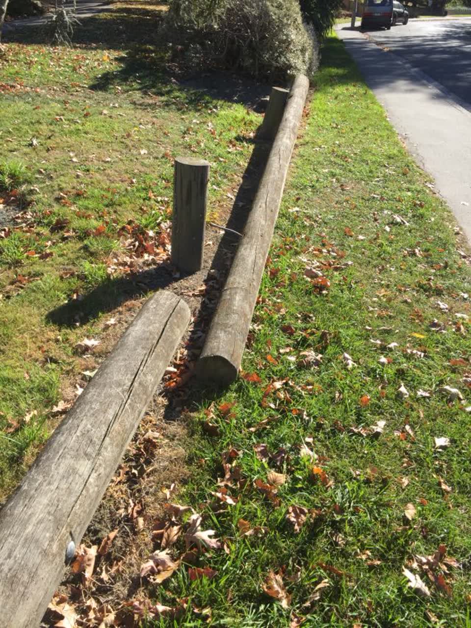 The photograph attached to this parks report