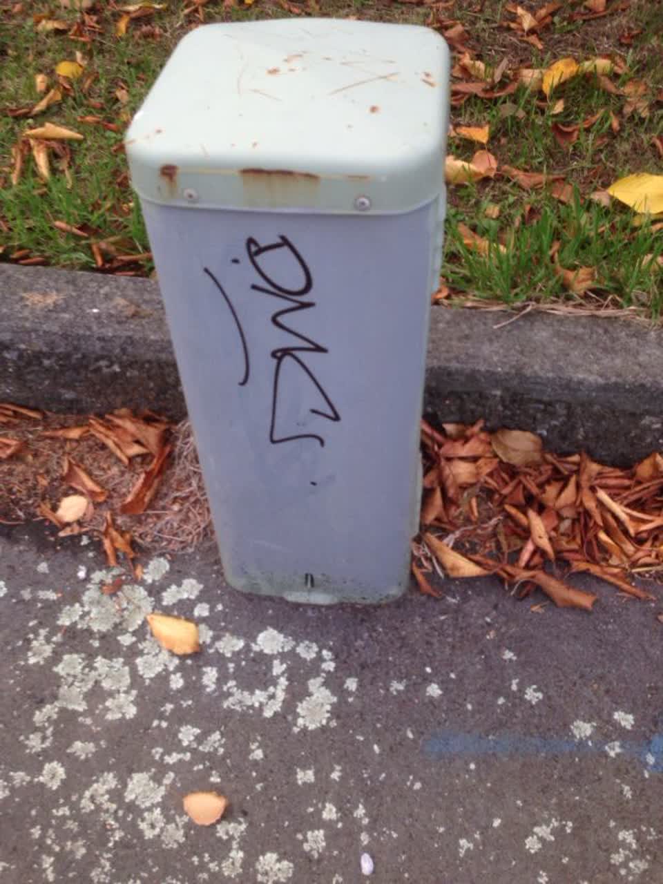 The photograph attached to this graffiti report