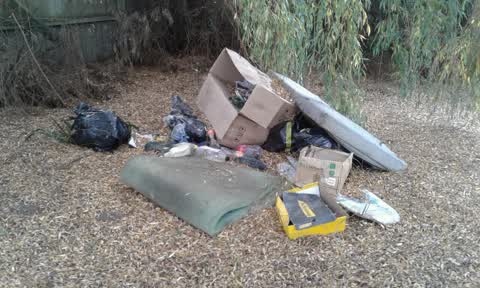 Rubbish/Recycling, a report photo