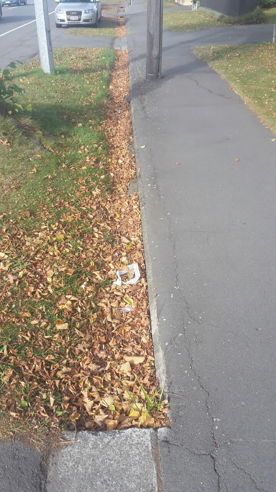 The photograph attached to this wastewater/stormwater report