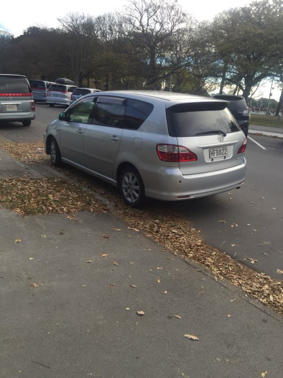 The photograph attached to this parks report