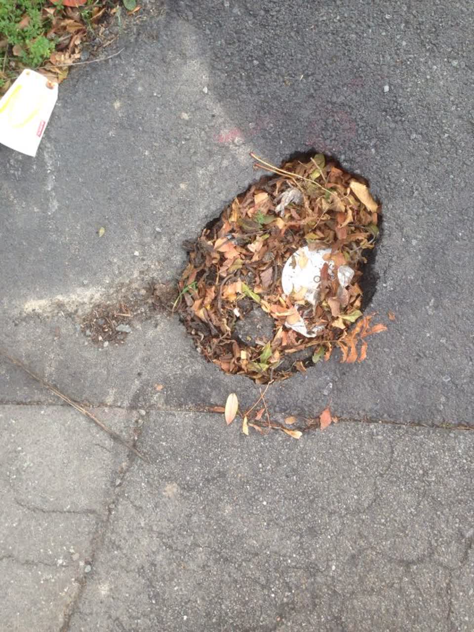 The photograph attached to this roading/streets report