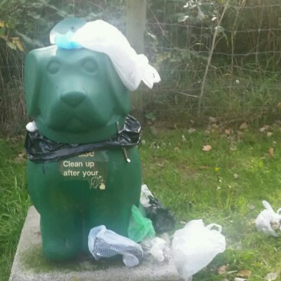 The photograph attached to this rubbish/recycling report