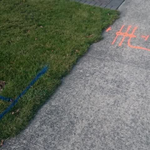 Roading/Streets, a report photo