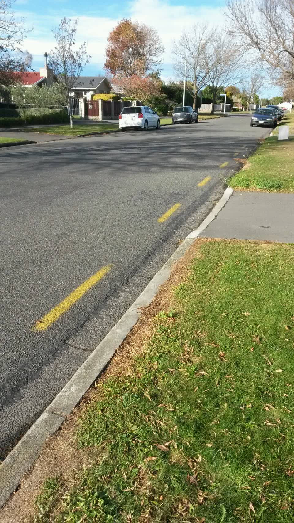 The photograph attached to this parks report