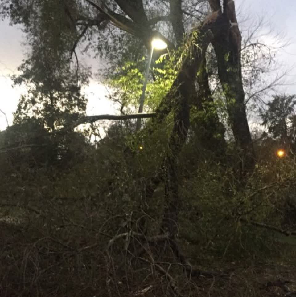 The photograph attached to this parks report