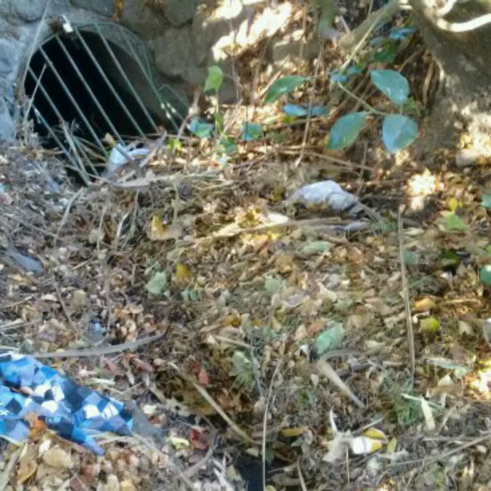 The photograph attached to this wastewater/stormwater report