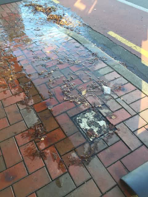 Wastewater/Stormwater, a report photo