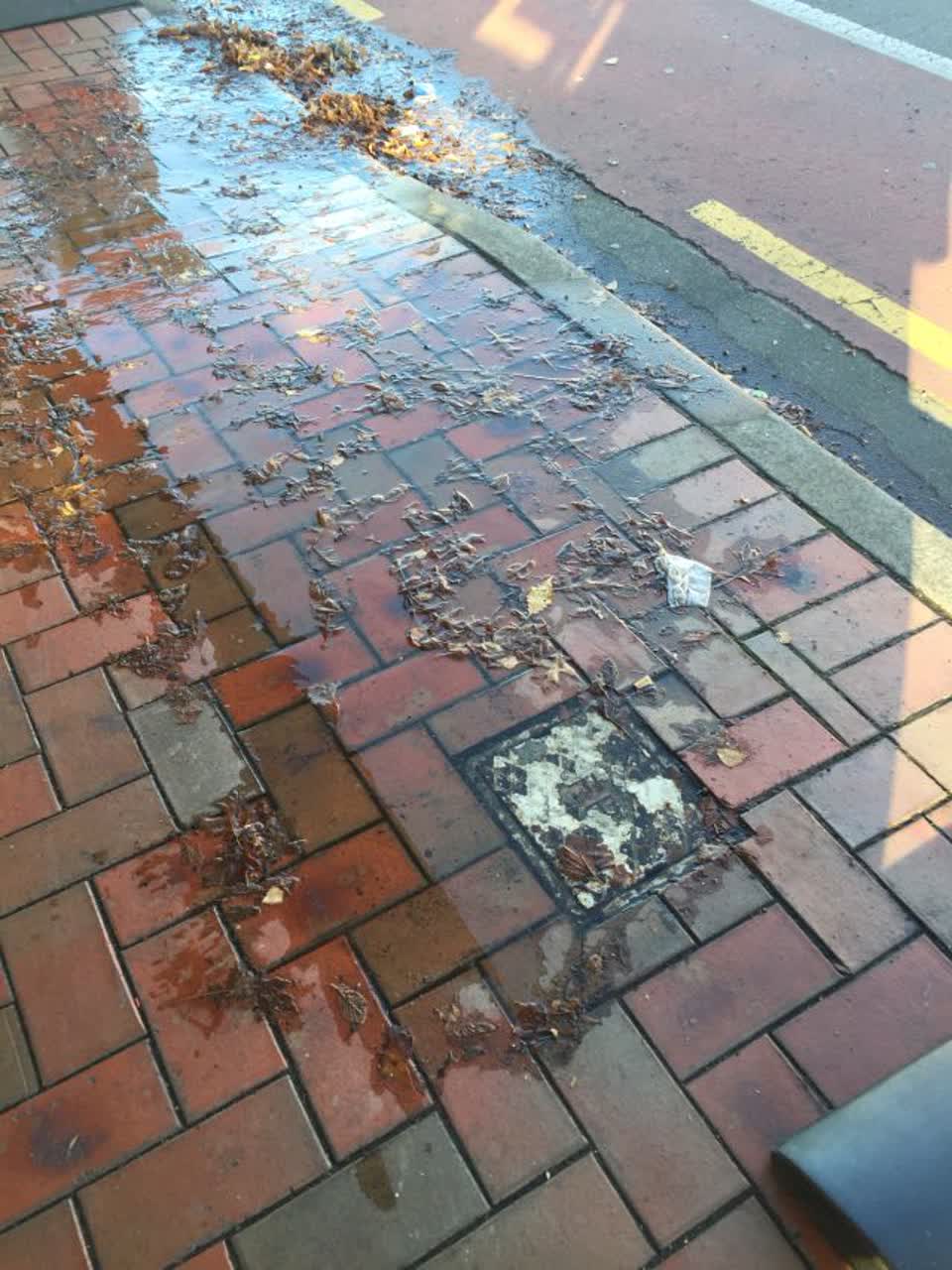 The photograph attached to this wastewater/stormwater report