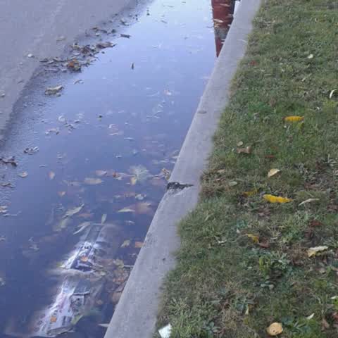 Wastewater/Stormwater, a report photo