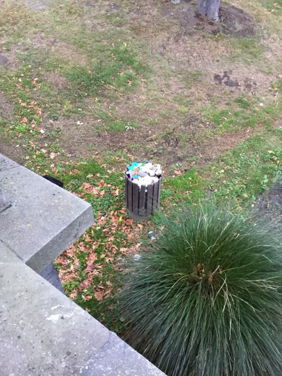 The photograph attached to this parks report