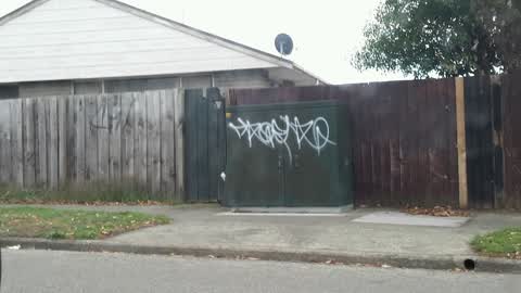 Graffiti, a report photo