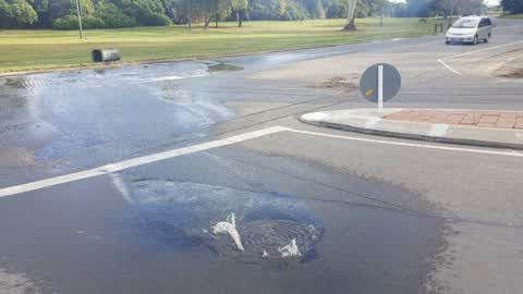 Wastewater/Stormwater, a report photo