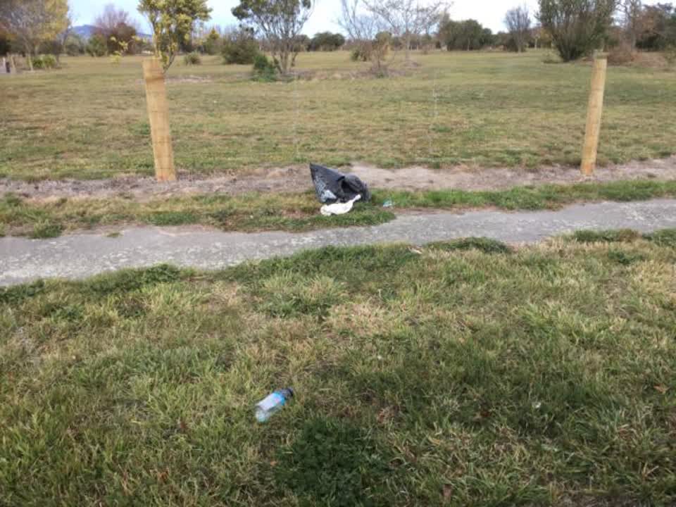 The photograph attached to this rubbish/recycling report