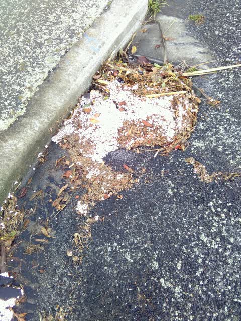 Wastewater/Stormwater, a report photo