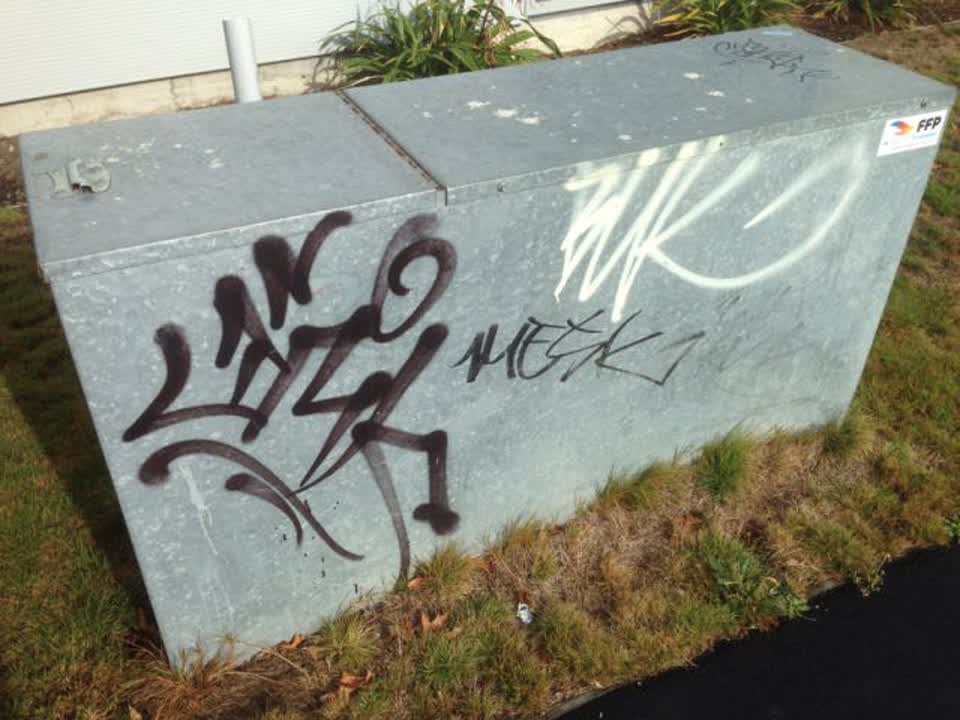 The photograph attached to this graffiti report