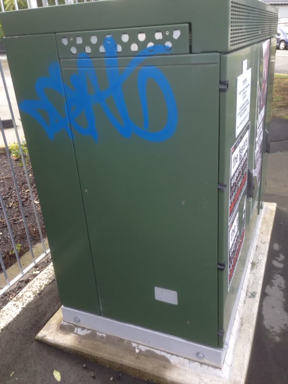 The photograph attached to this graffiti report