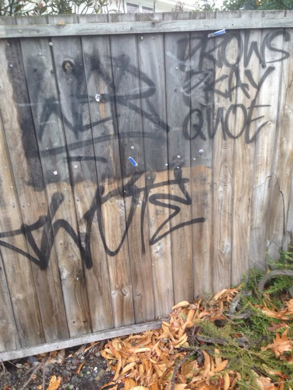 The photograph attached to this graffiti report