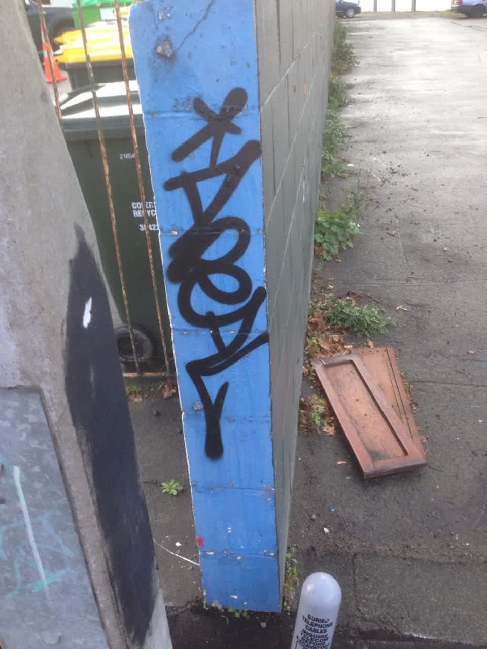 The photograph attached to this graffiti report