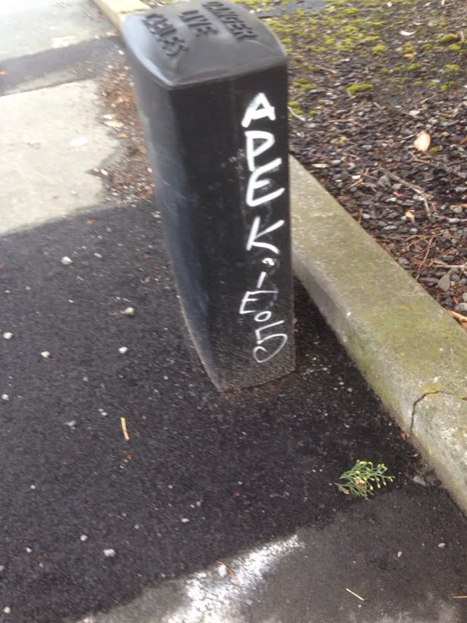 The photograph attached to this graffiti report