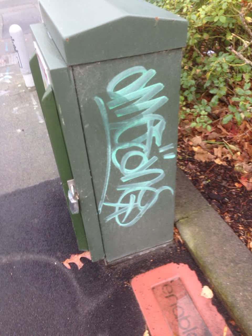 The photograph attached to this graffiti report