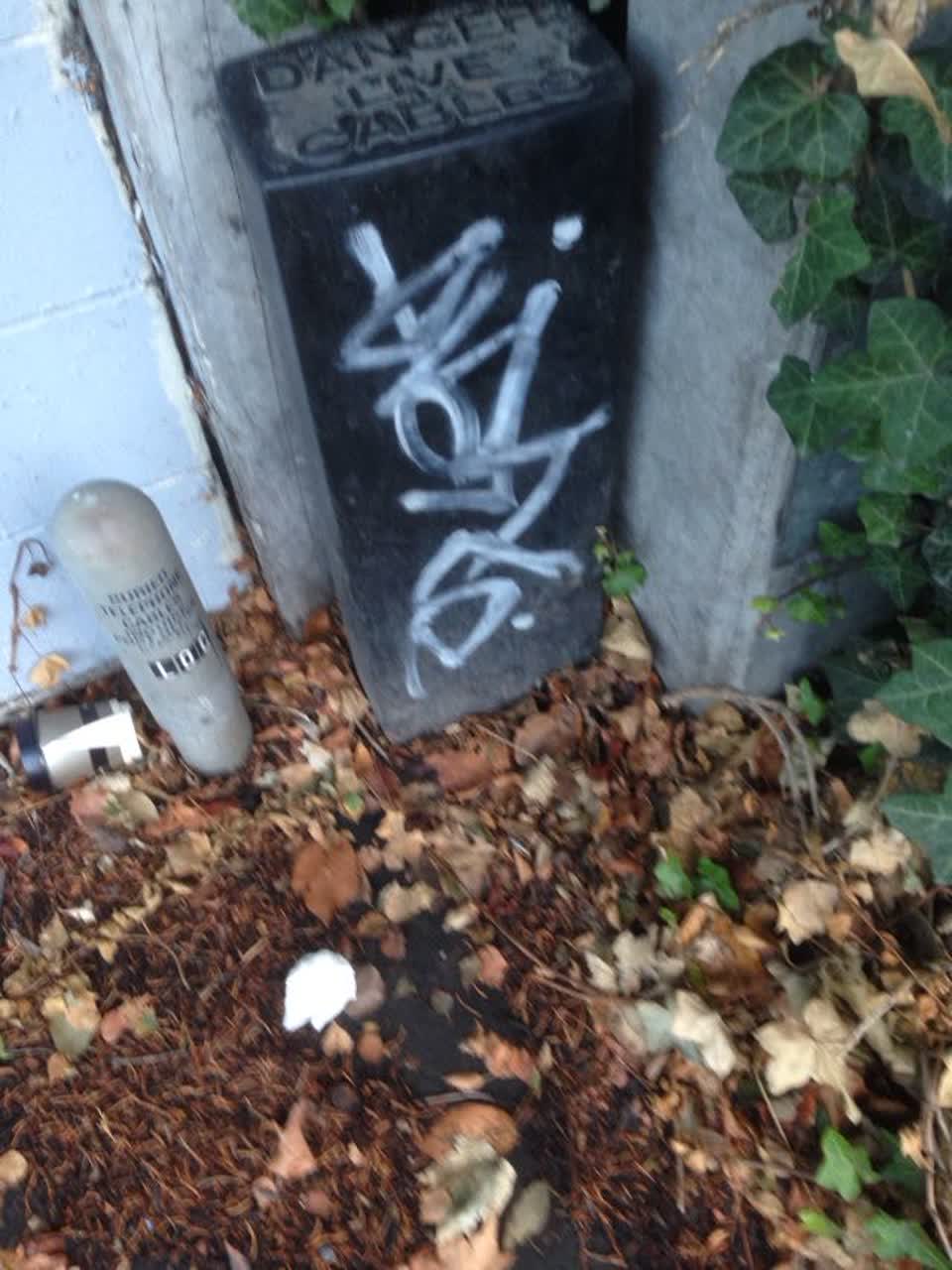 The photograph attached to this graffiti report