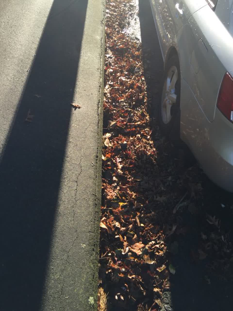 The photograph attached to this wastewater/stormwater report